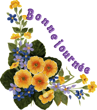 bonjour! bon mardi!