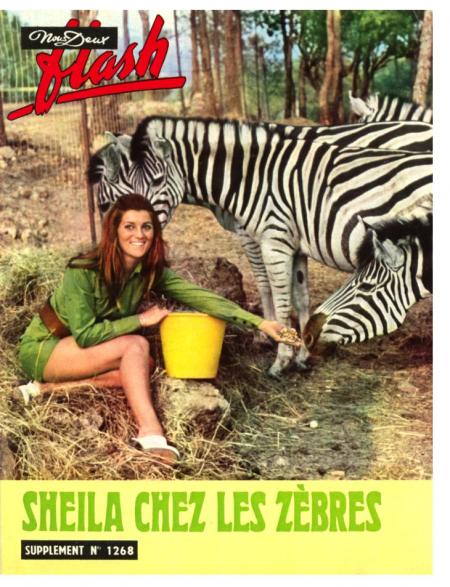sheila!