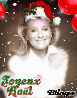JOYEUX NOEL!